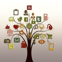Content quantity