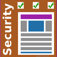 Website security check